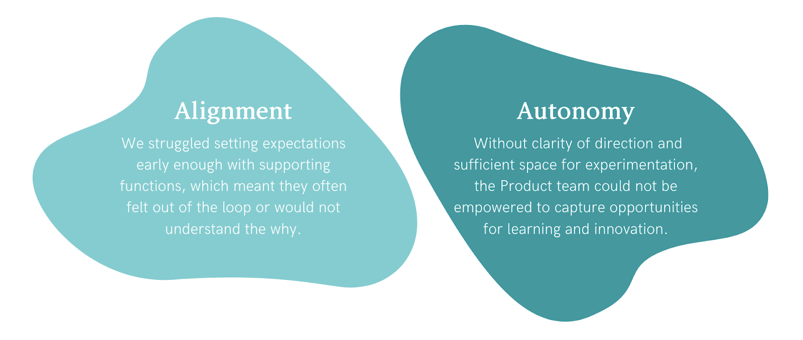 When it came to autonomy, the team was passionate about the product and excited to innovate on it but were hampered by an unclear vision and limited space for experimentation. Without clarity of direction, the Product team could not be empowered to capture critical opportunities for learning and innovation.