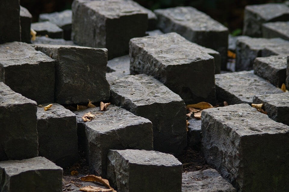 Building a Voice of Developer (VOD) program  in 10 steps