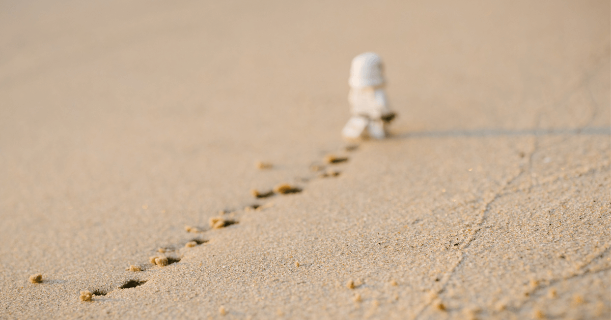 Making your mark: The PMM's startup survival guide