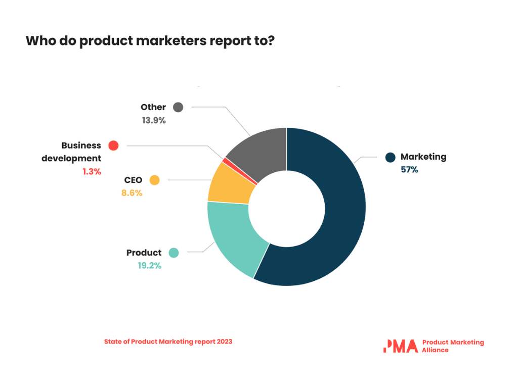 Who do product marketers report to within the business?