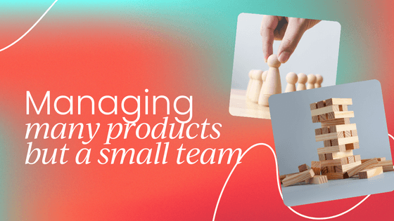 Managing a large product portfolio with limited team members