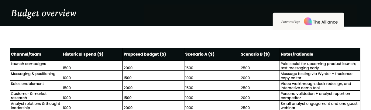 PMM budget allocation template