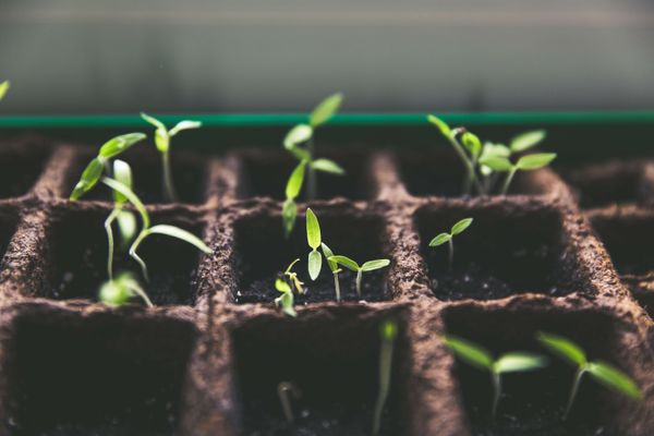 A product marketer's guide to product-led growth