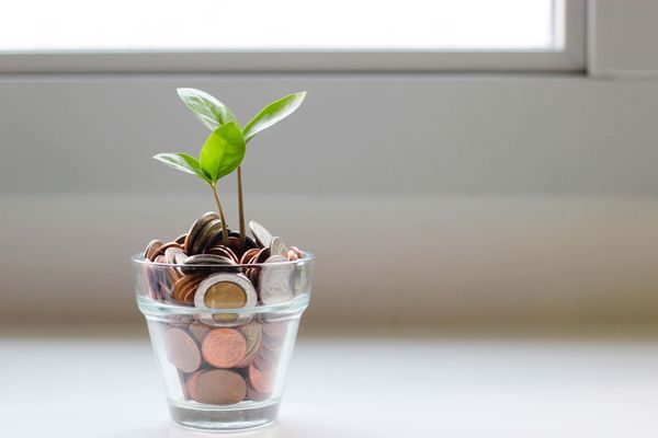 Building a company culture that drives revenue growth