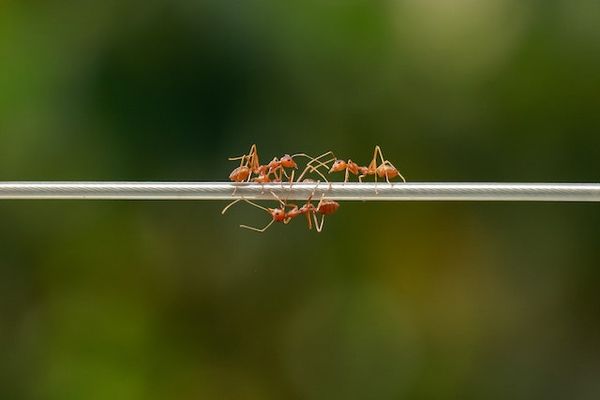 Making connections: The secret to exceptional cross-functional teams