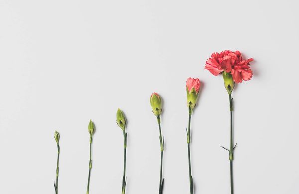 How to cultivate a culture of continuous improvement  in product marketing
