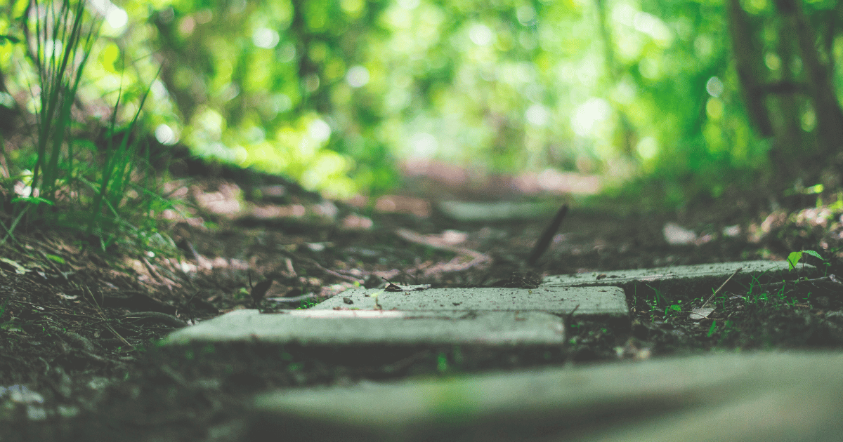 4 steps for building a strategic 
  competitive intelligence program